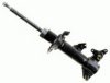 BOGE 30-G22-A Shock Absorber